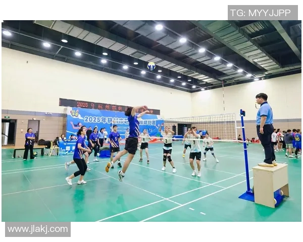 排球战术：杭州排球队的运营体系